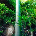 %e6%a5%af-%e8%b2%b4%e5%a5%bd%e5%85%88%e7%94%9f