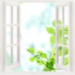 %e7%a5%9e%e5%b4%8e%e6%9d%8f%e5%a5%88%e5%85%88%e7%94%9f